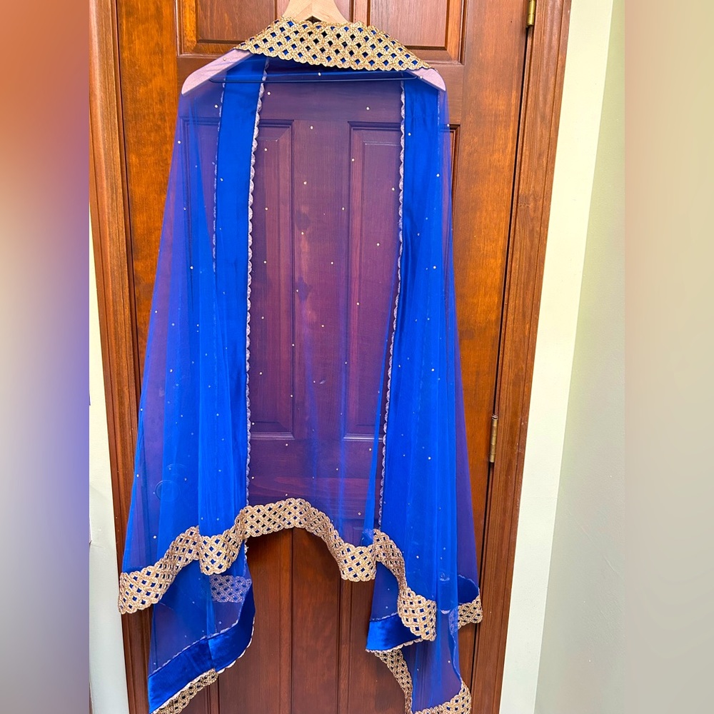 Royal Blue Net Dupatta with Gold Lace Border